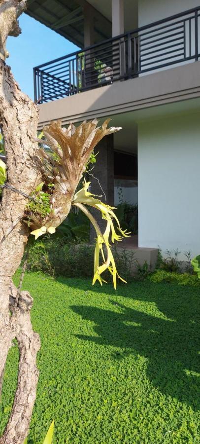 Indraprastha Cottage Ubud Dış mekan fotoğraf